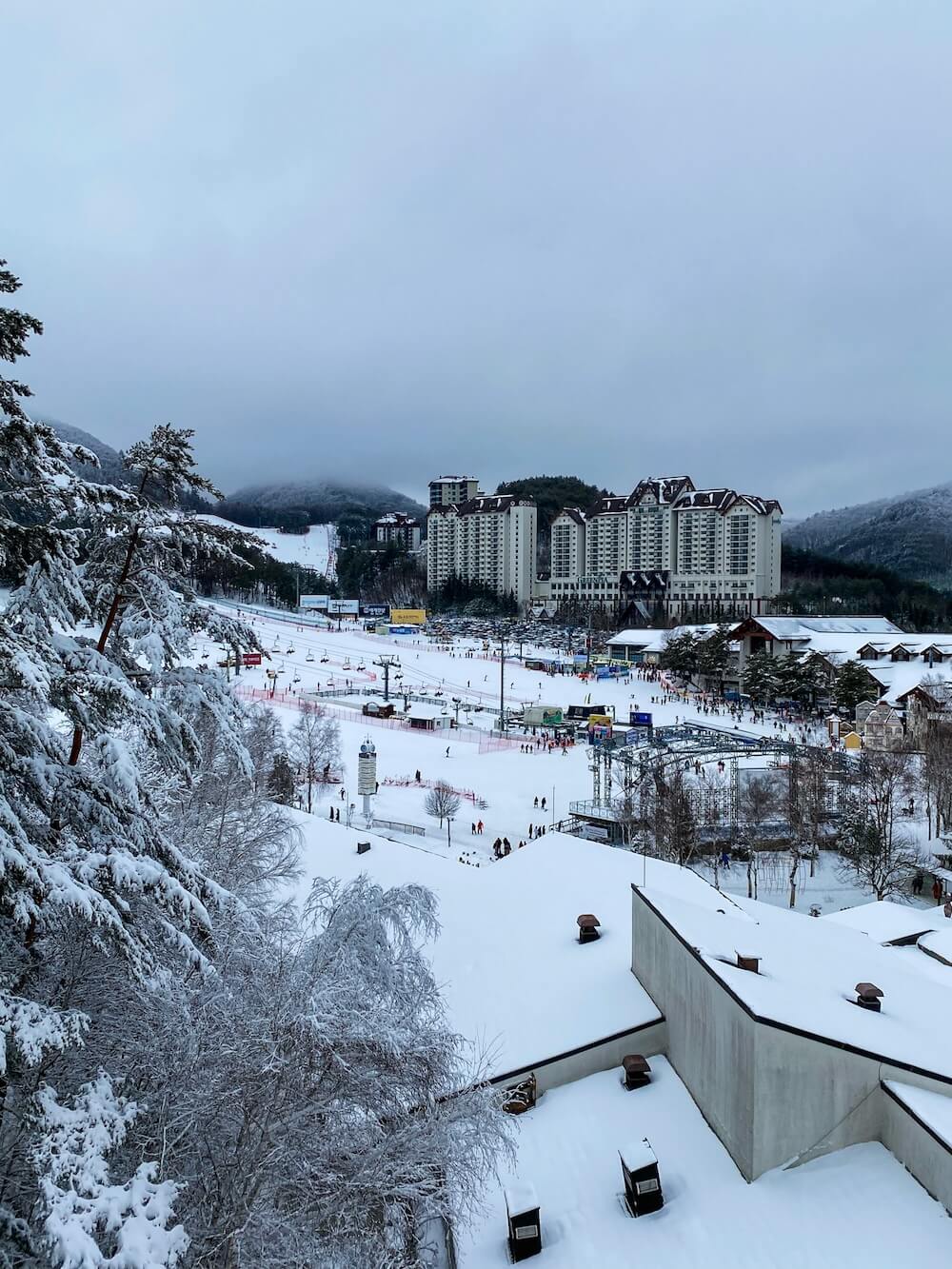 yongpyong resort in winter