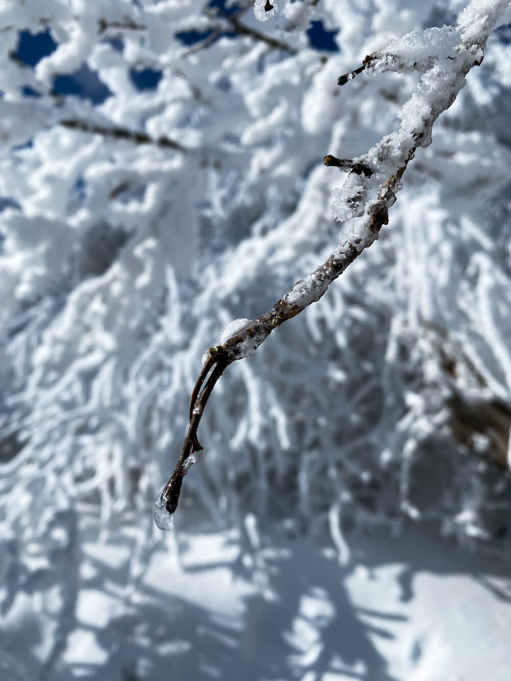 balwangsan mountain in pyeongchang