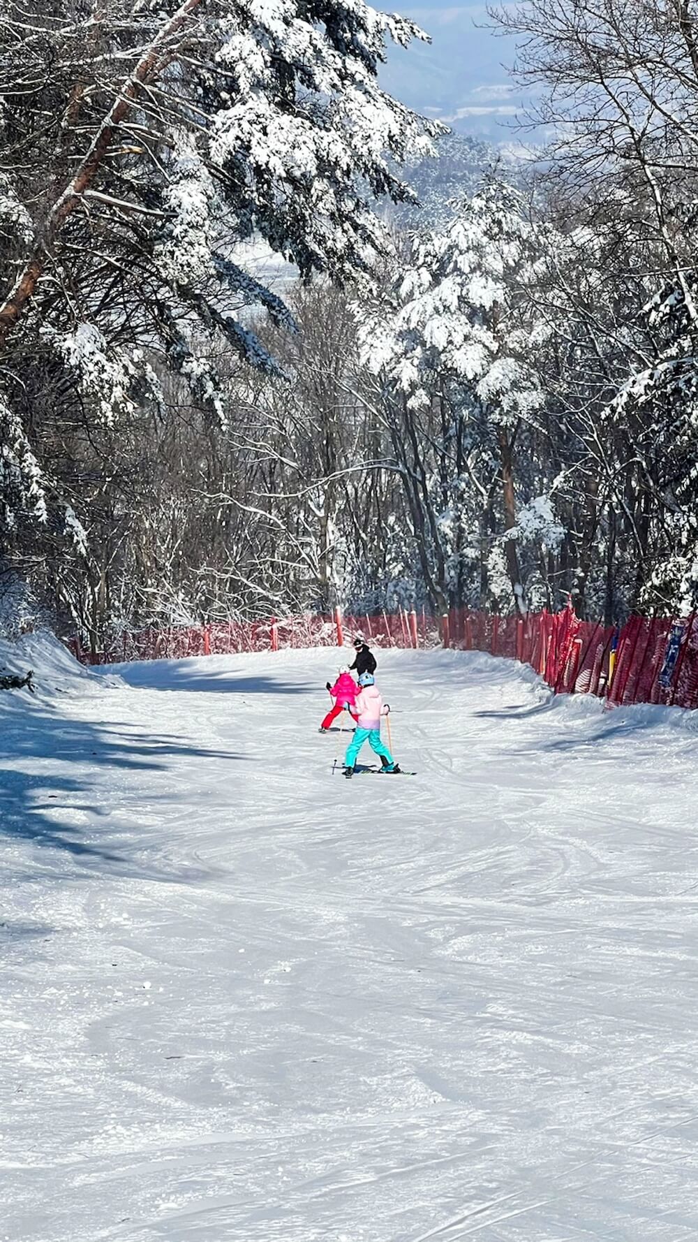 skiing at yongpyong resort in korea