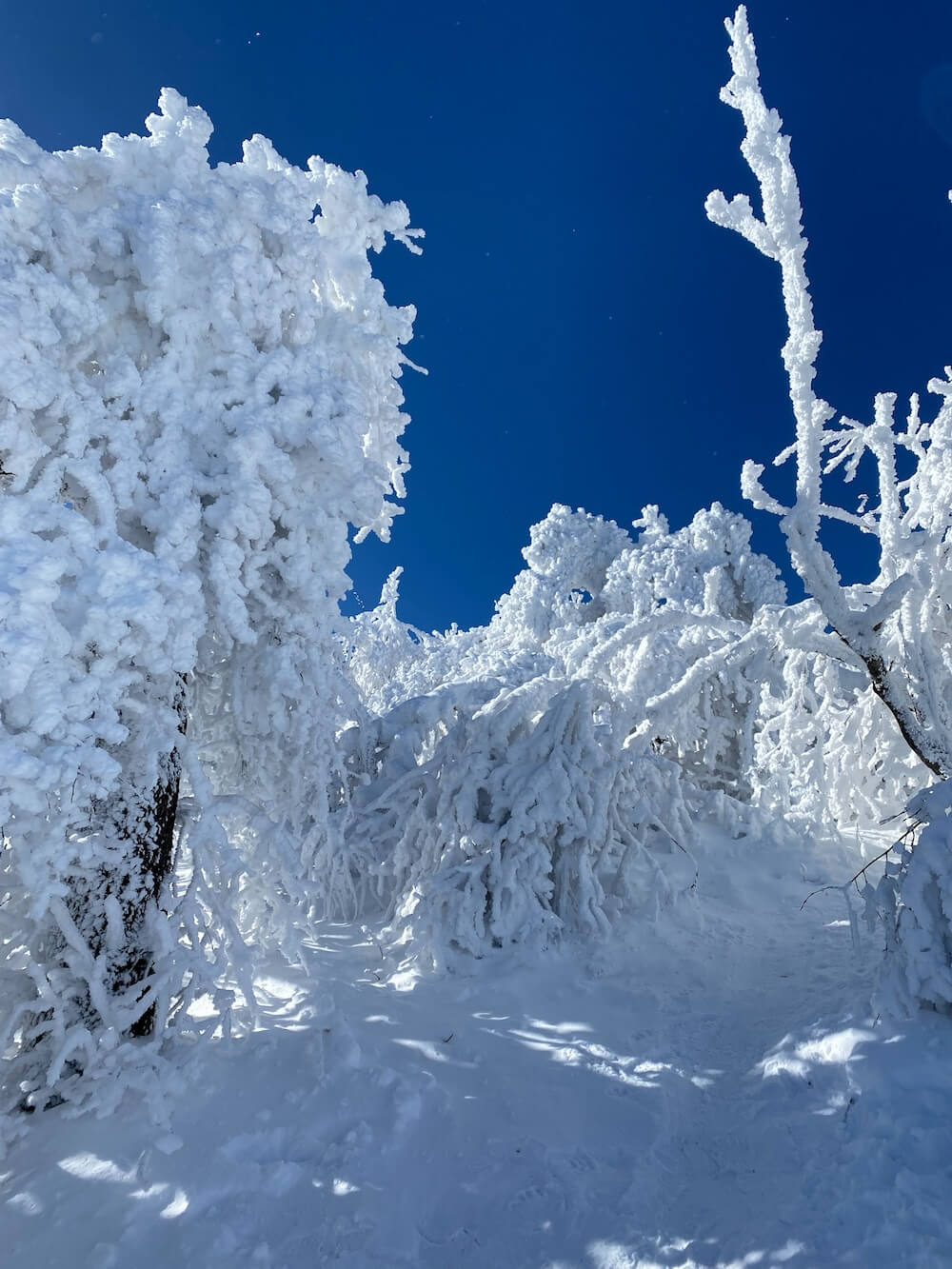 snow at the top of balwangsan cable car 