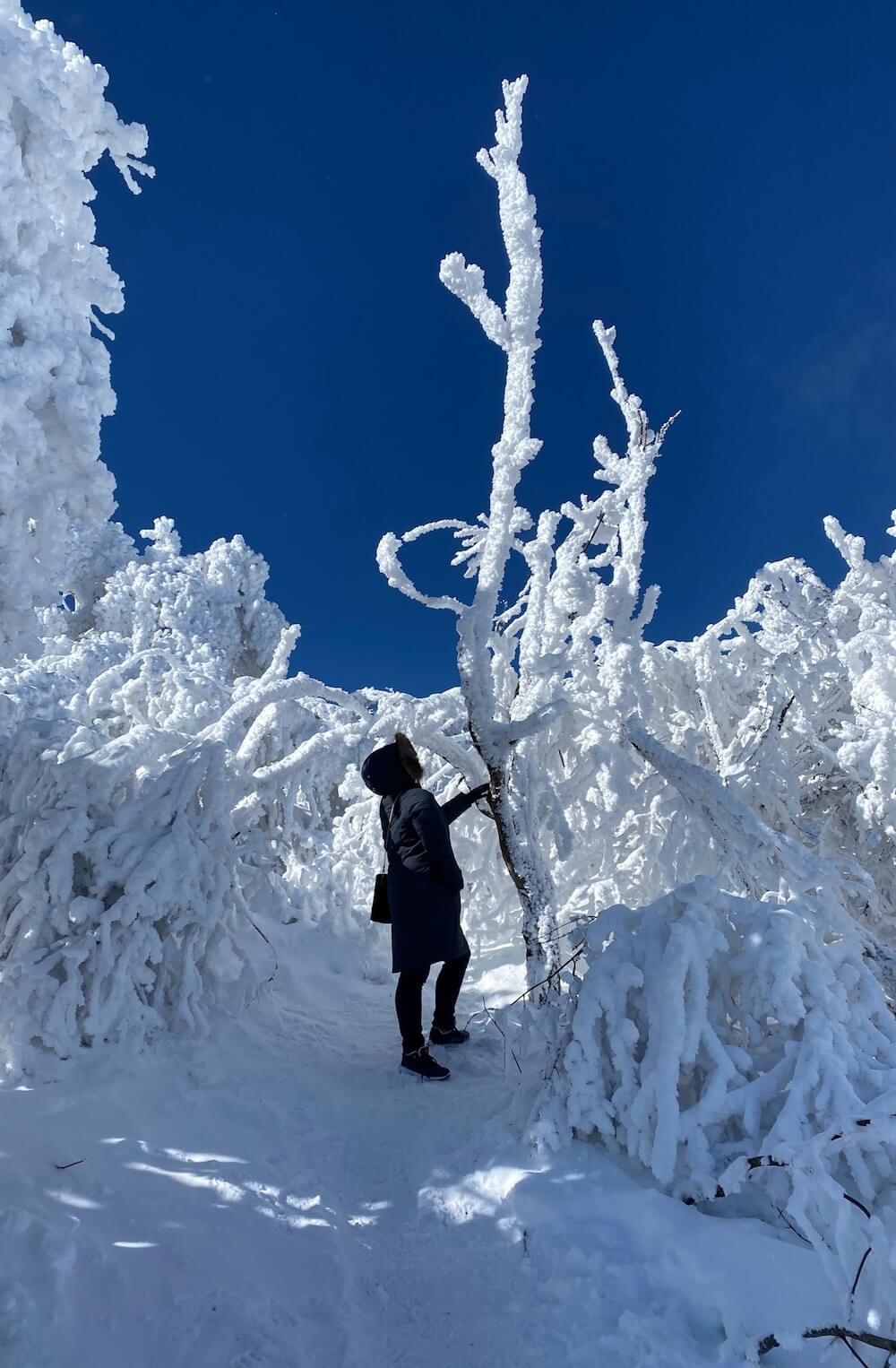 winter in korea | balwangsan mountain cable car