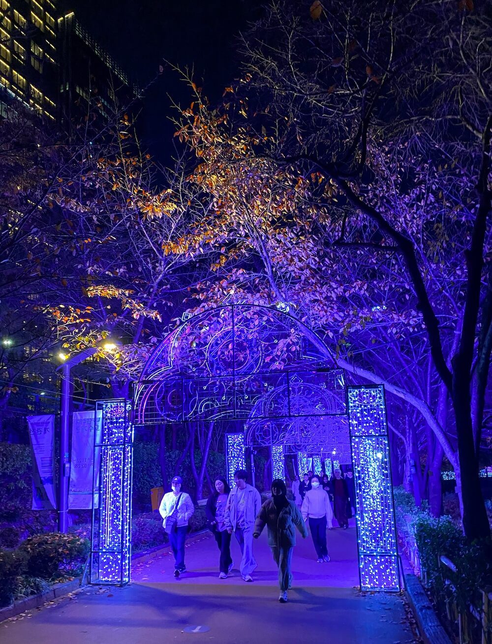 christmas in seoul | luminarie at seokchon lake park