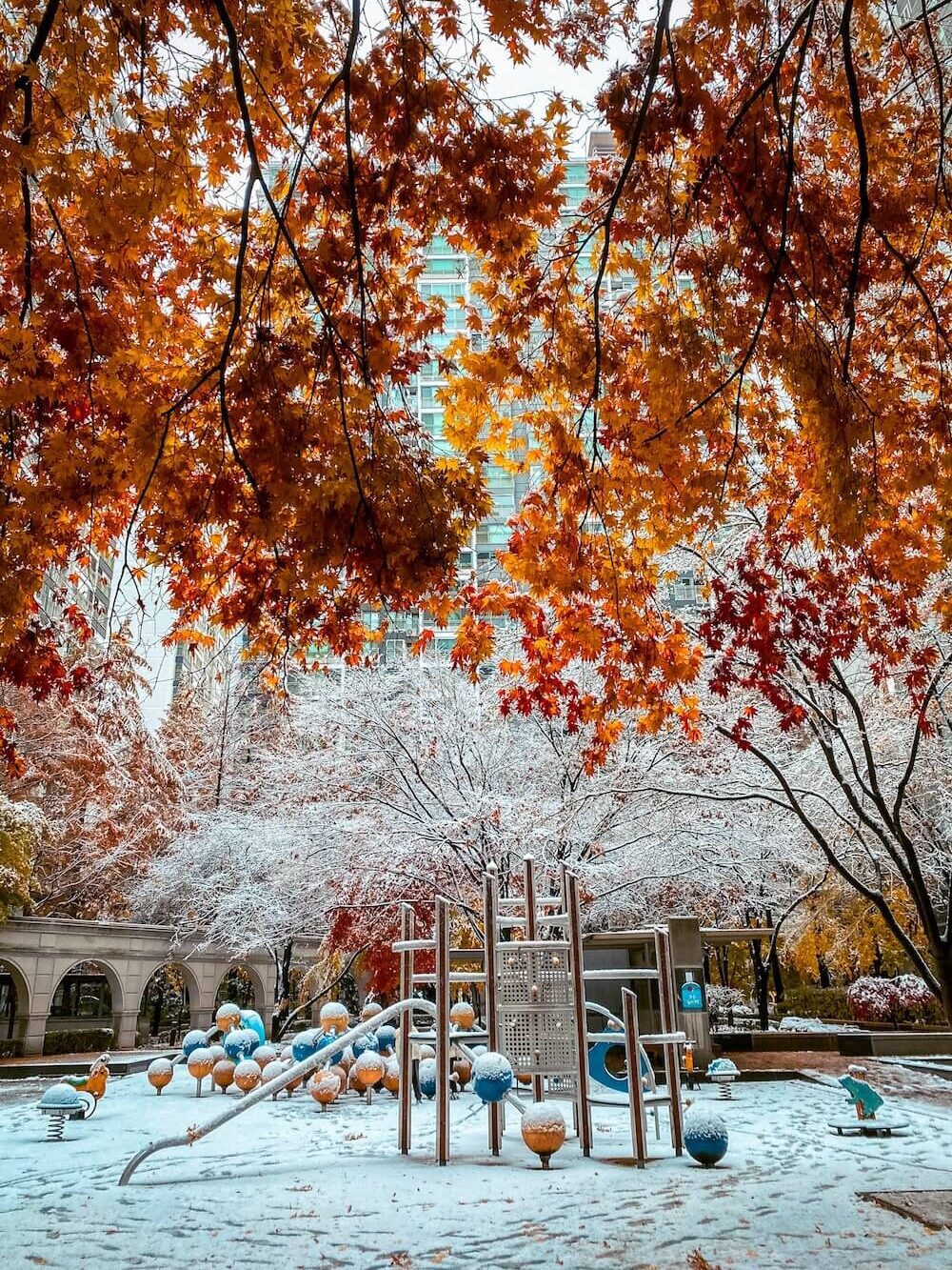 autumn / winter in seoul