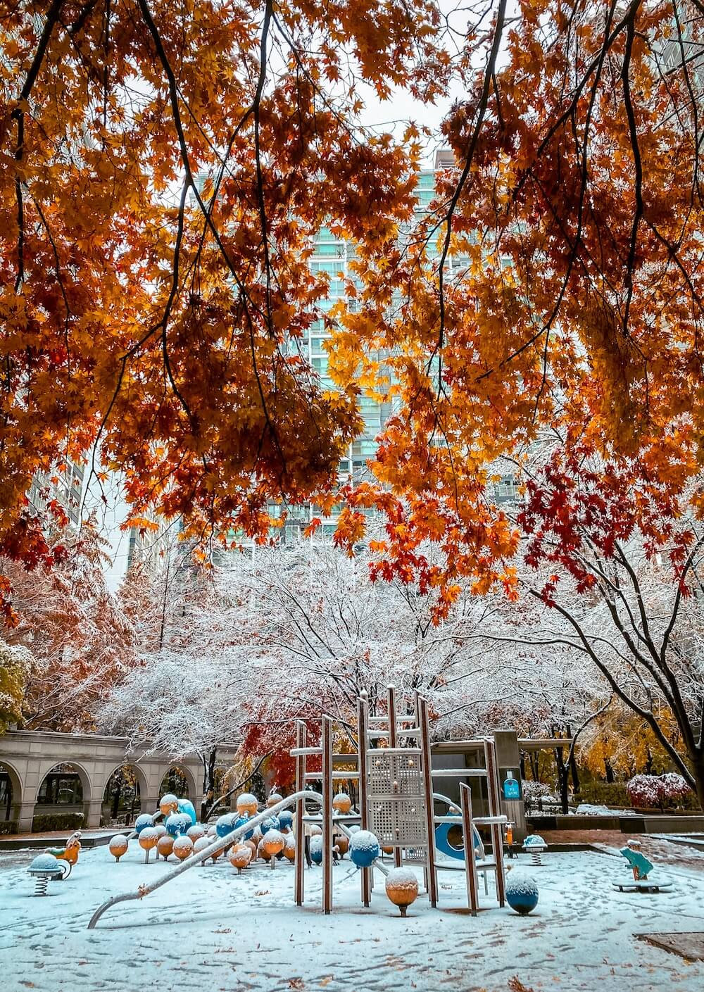 autumn / winter in seoul