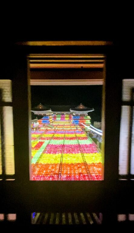 Samgwangsa Temple | A Captivating Lotus Lantern Festival in Busan with 40,000 Lanterns