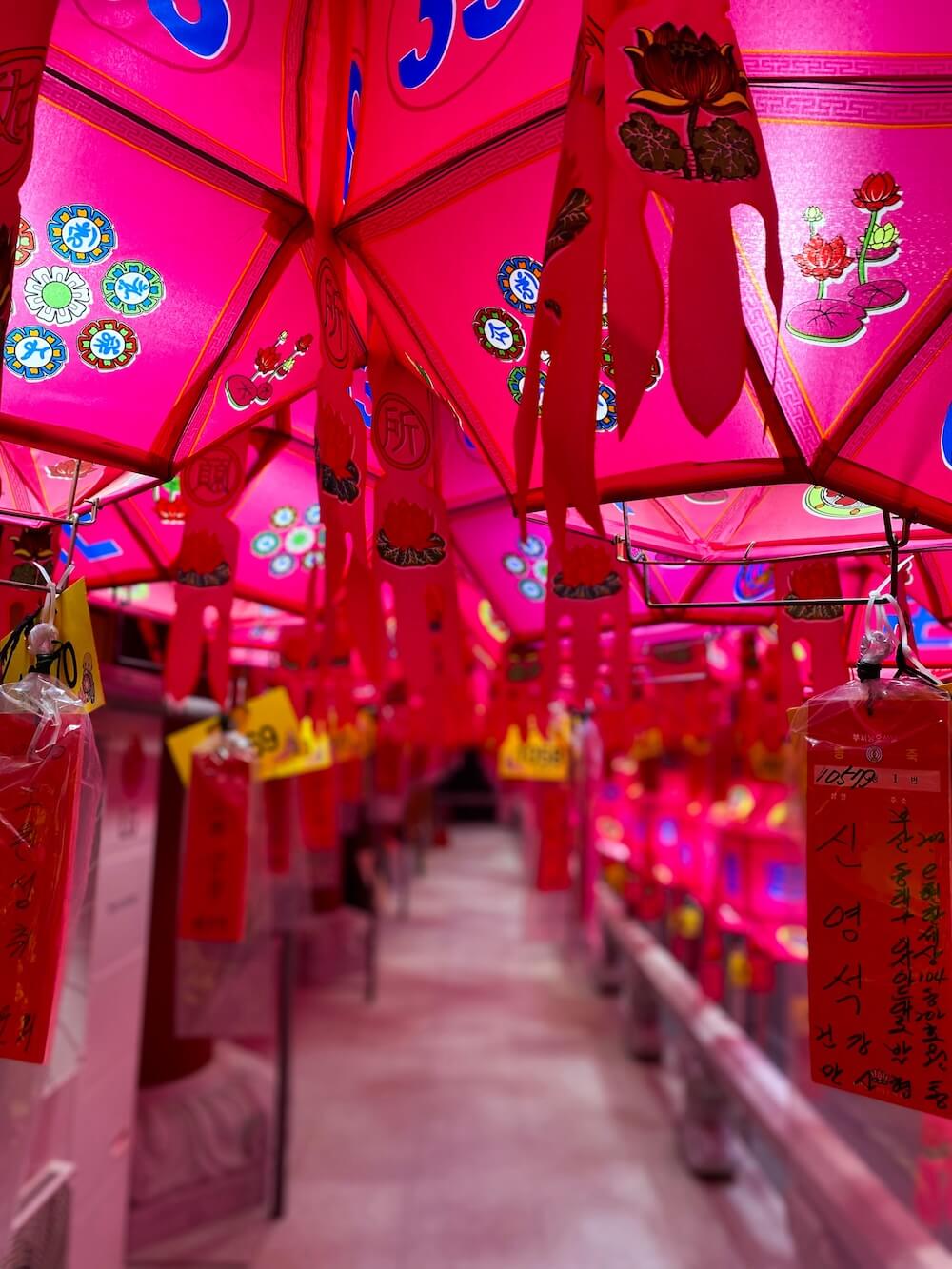 samgwangsa temple lotus lanterns