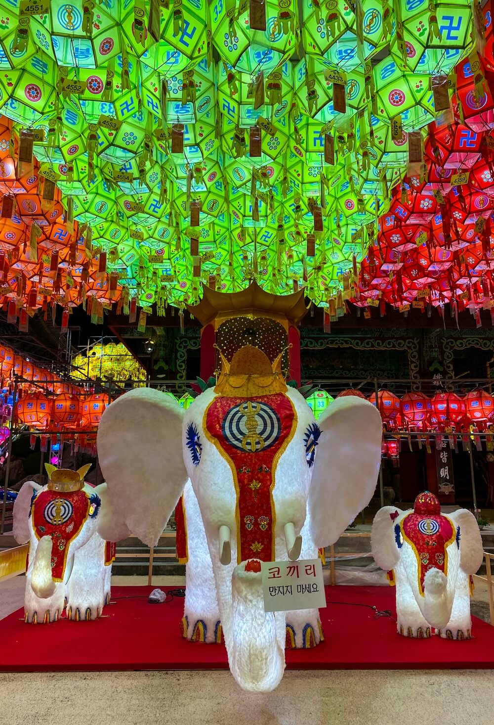 samgwangsa temple lotus lantern festival