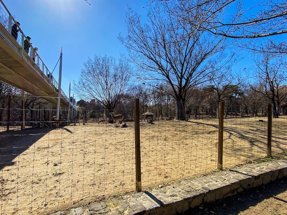 deer corral at seoul forest