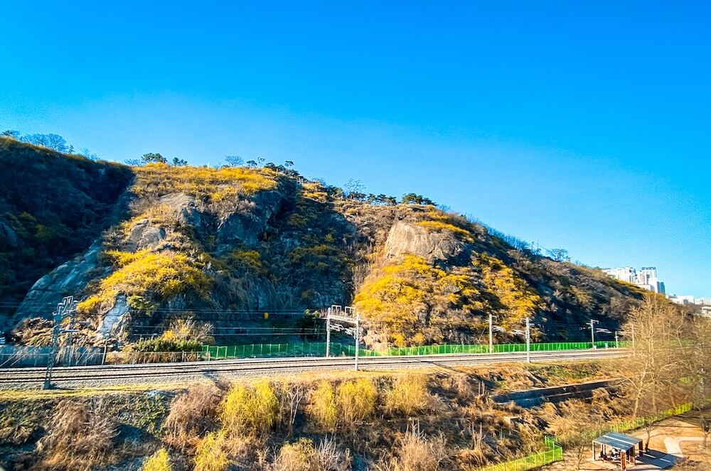 eungbongsan mountain in spring