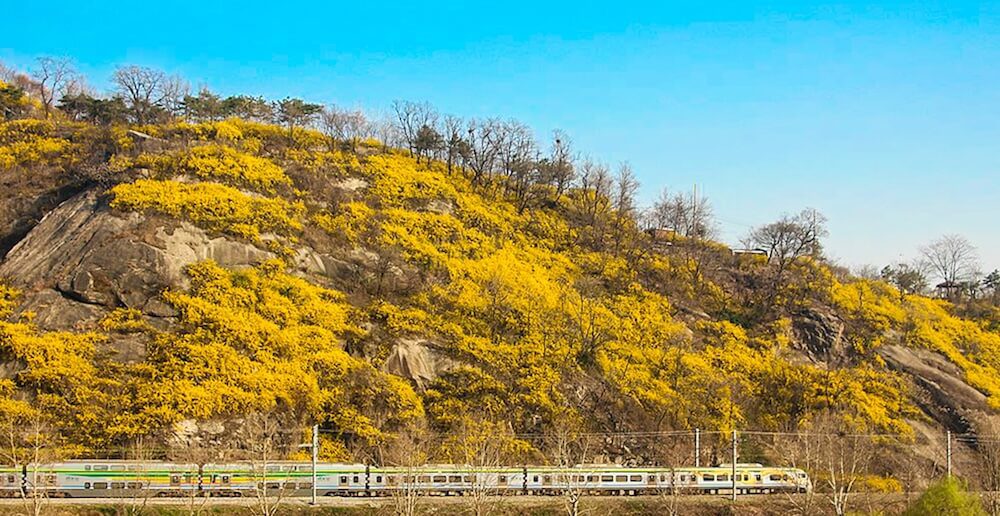 eungbongsan mountain i seoul