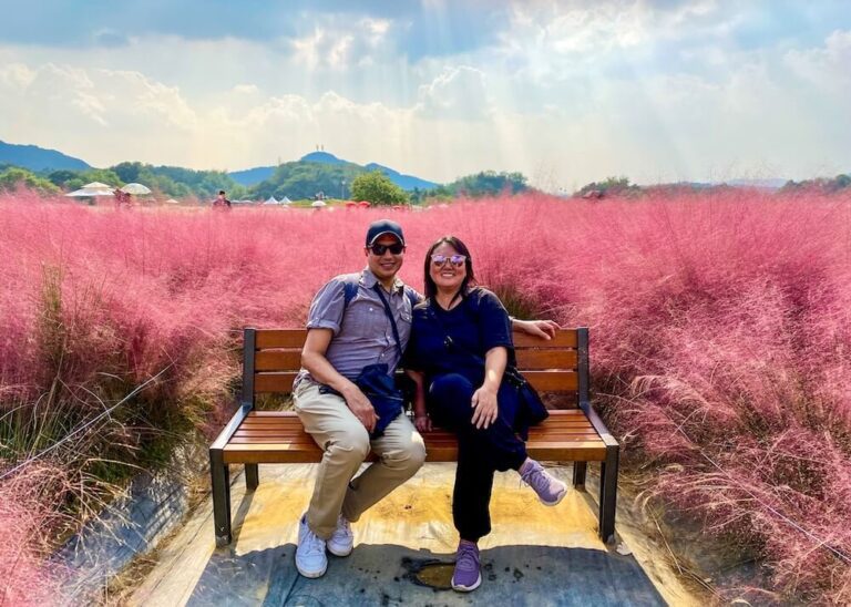 yangju nari park pink muhly grass