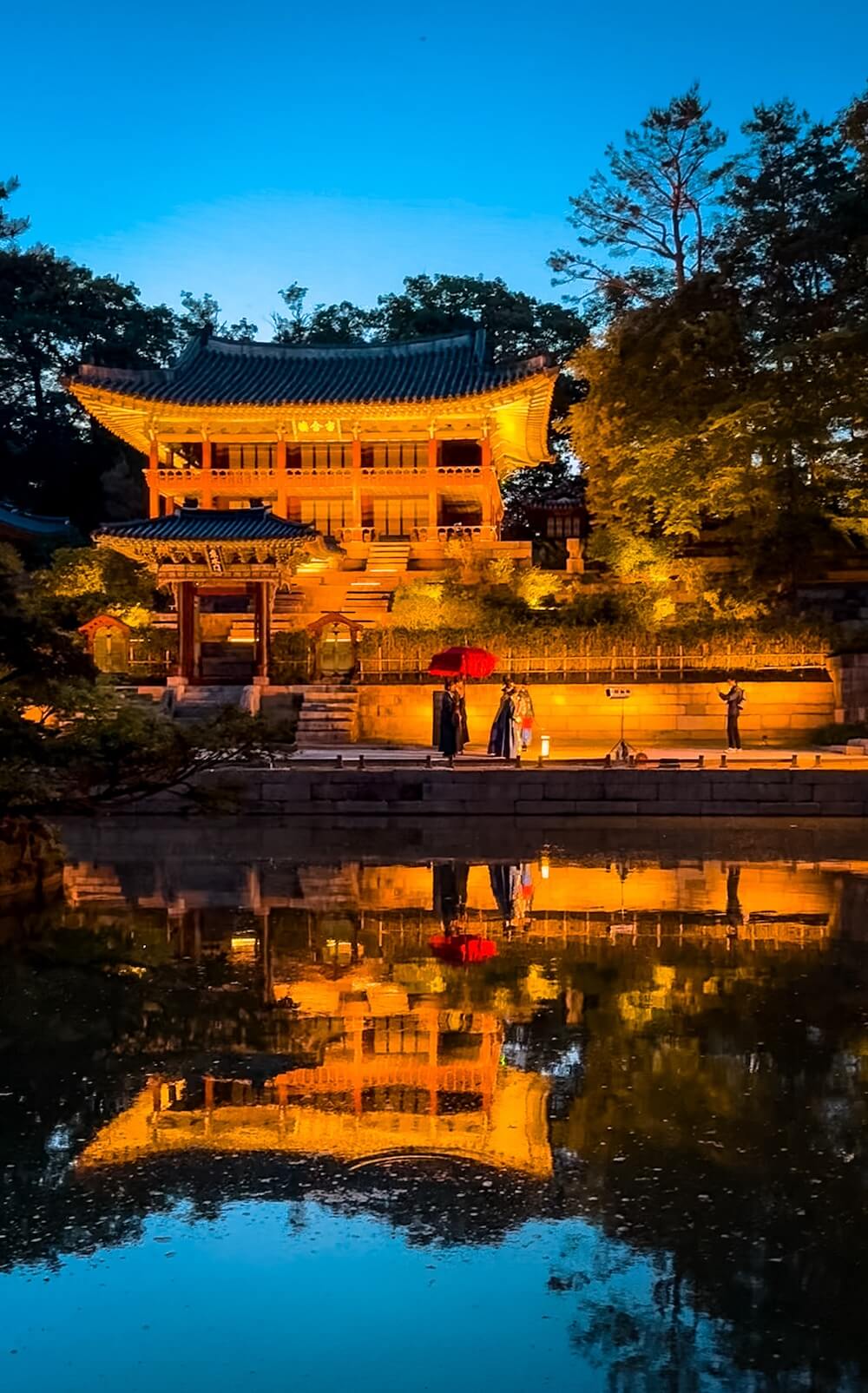 moonlight tour at changdeokgung palace