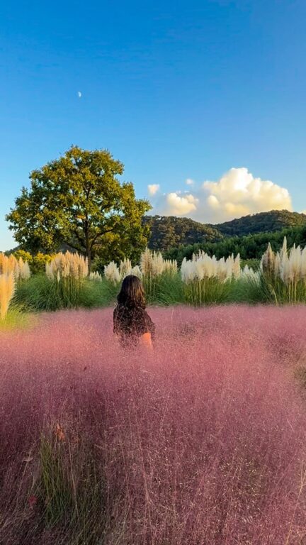 South Korea in October 2026 | Weather + Best Festivals in Seoul and Beyond