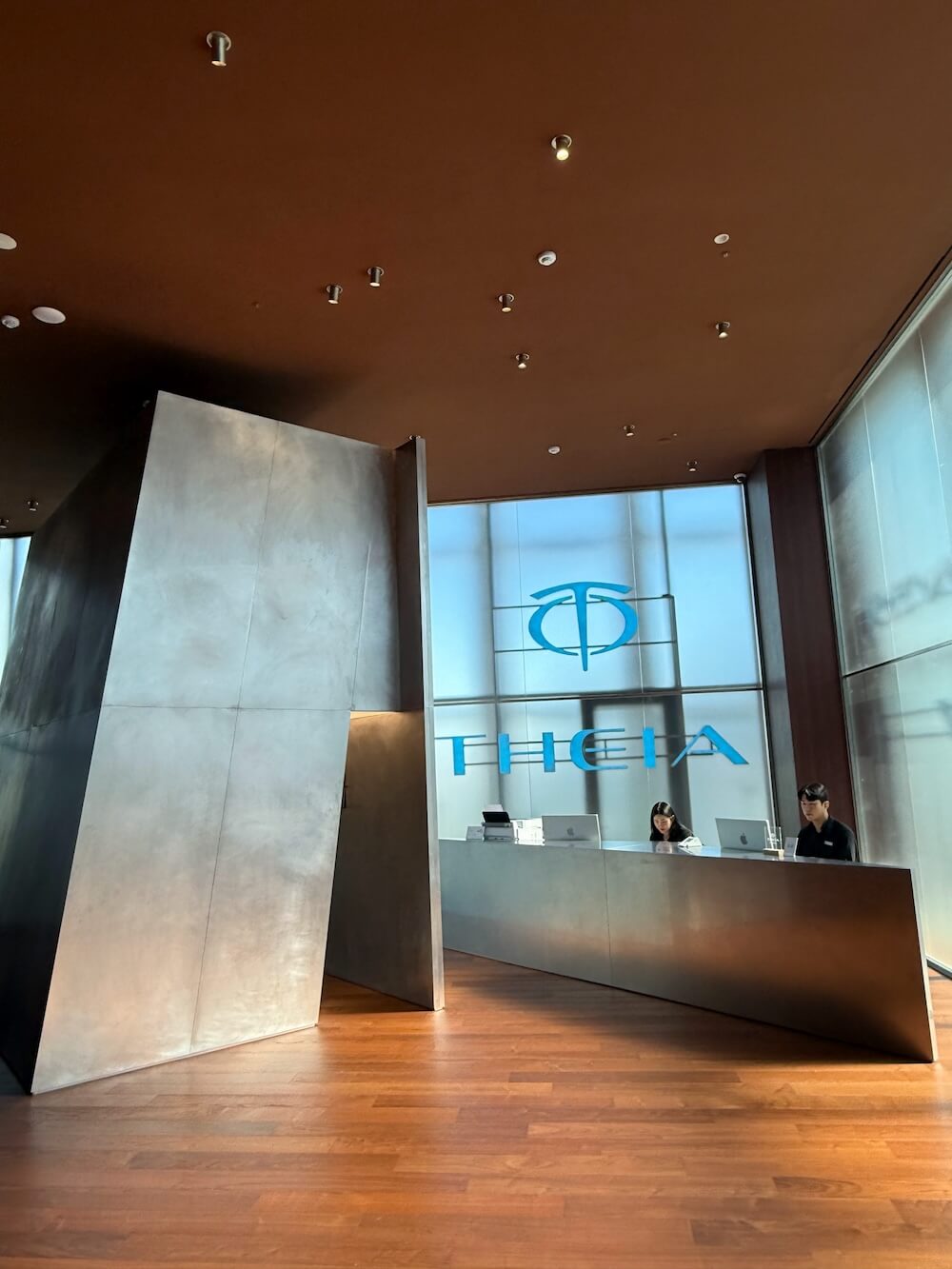 How to Save on Skin Treatments in Korea | Insights From Trying Over 20 Seoul Beauty Clinics Myself 26 skin clinic in seoul | theia clinic