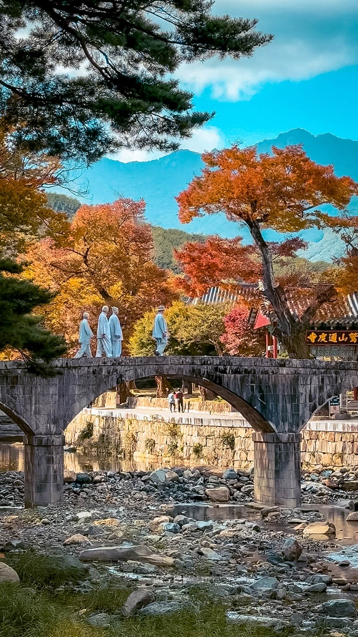 tongdosa temple in autumn yangsan korea