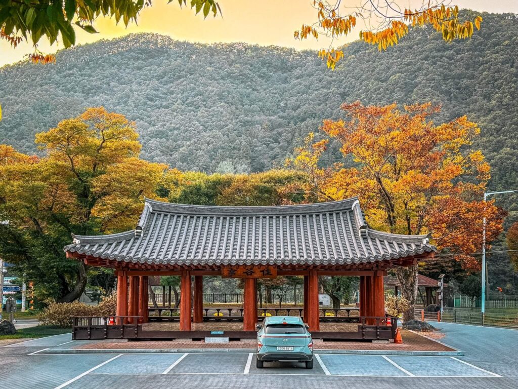 autumn in danyang korea